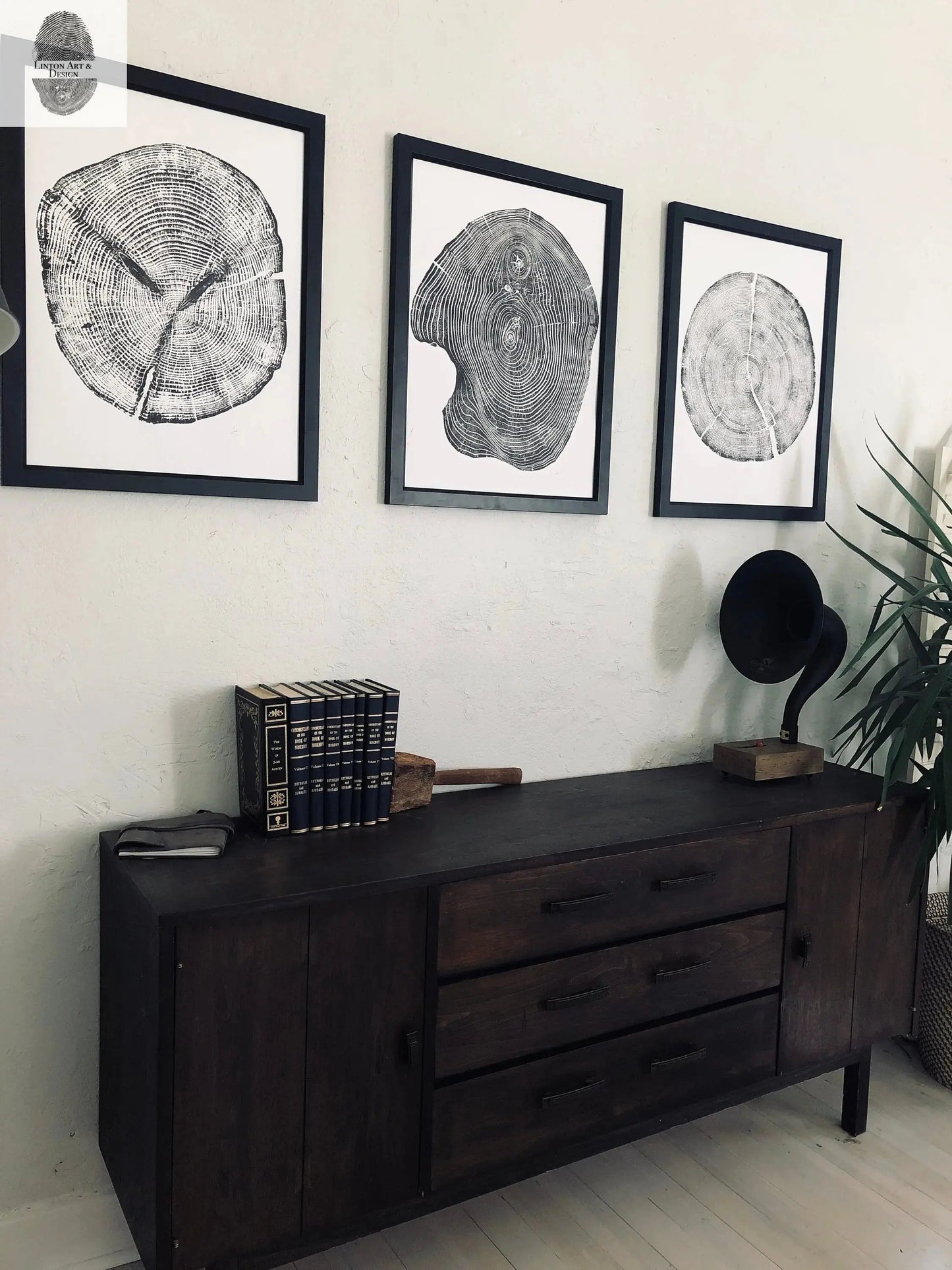 Tree Ring Print Set of 3 - Cedar, Mulberry & Pine - 18x24