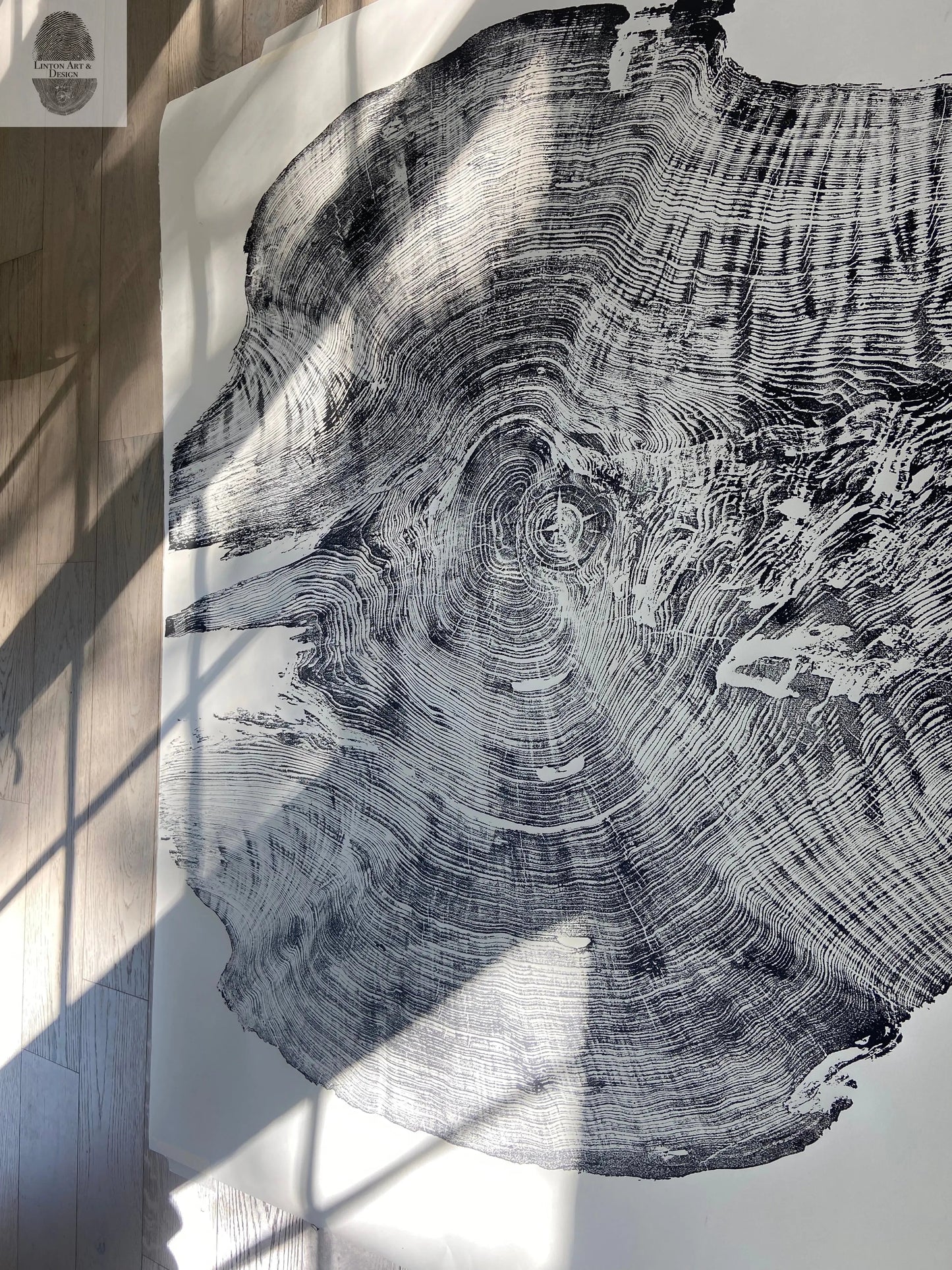 Giant Redwood Tree Ring Print - California Coast - 52x72