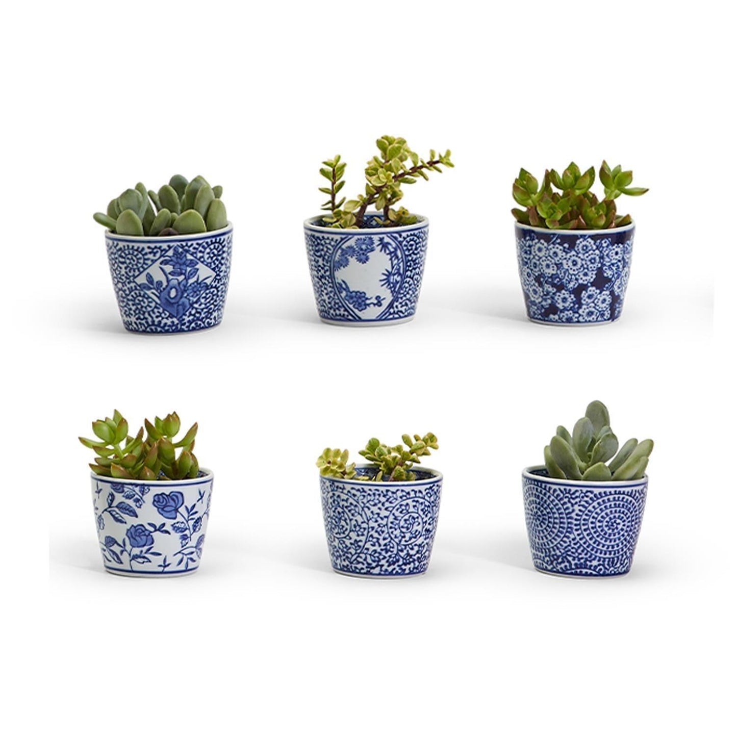 Mini Chinoiserie Cachepots - Hand-Painted Porcelain 2.75"