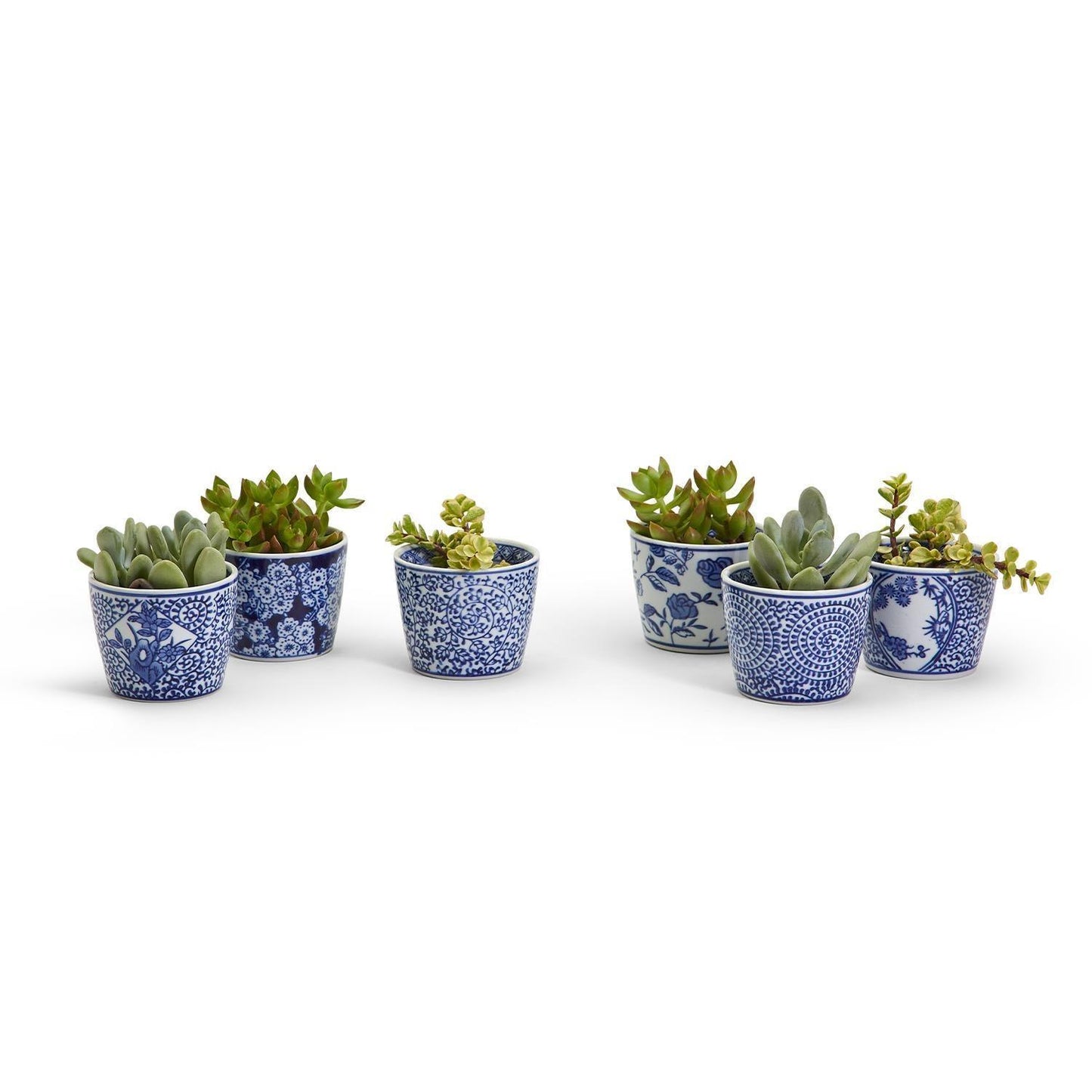 Mini Chinoiserie Cachepots - Hand-Painted Porcelain 2.75"