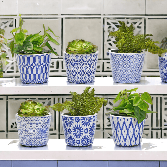 Terracotta Pot 5.5" - Rustic Patterned Handmade