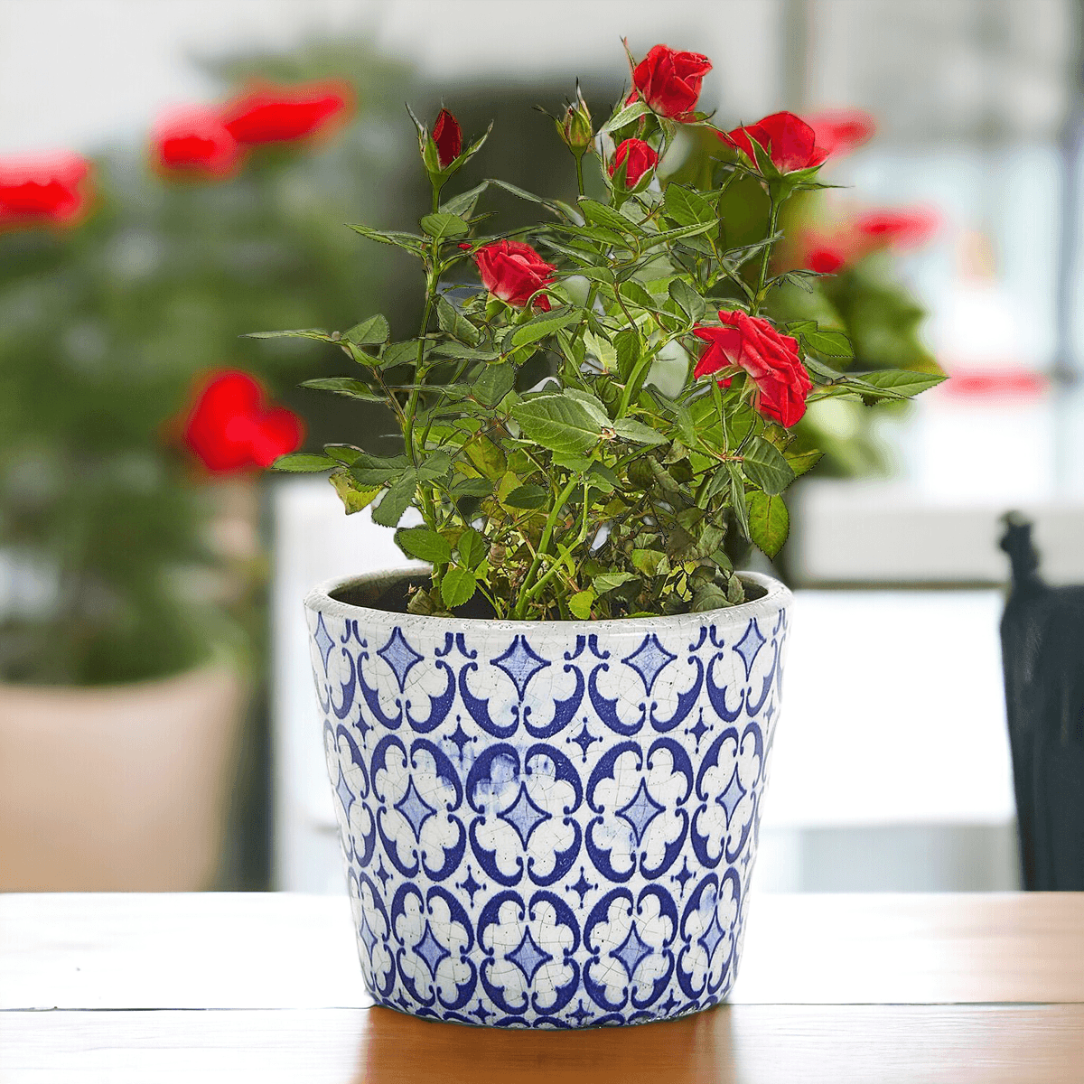 Terracotta Pot 5.5" - Rustic Patterned Handmade