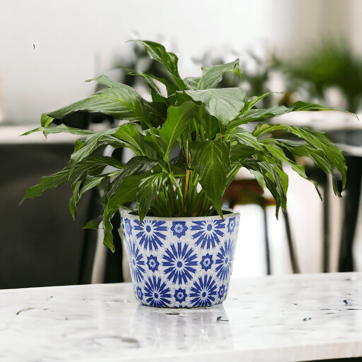 Terracotta Pot 5.5" - Rustic Patterned Handmade
