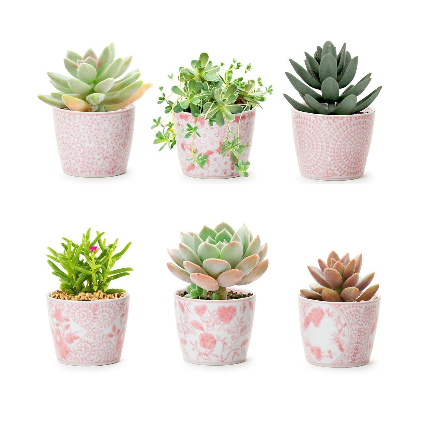 Mini Pink Hand-Painted Porcelain Cachepot
