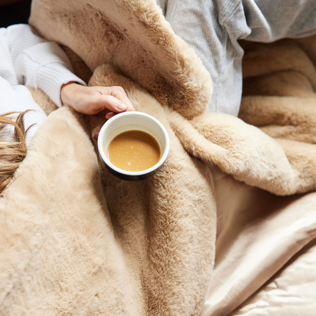 Indoor Faux Fur Blanket with Waterproof Satin Backing