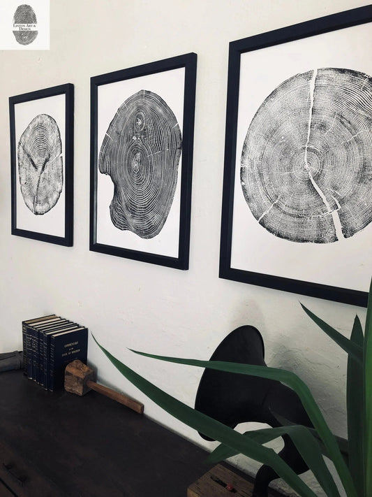 Tree Ring Print Set of 3 - Cedar, Mulberry & Pine - 18x24