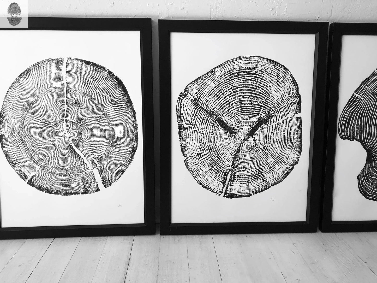 Tree Ring Print Set of 3 - Cedar, Mulberry & Pine - 18x24
