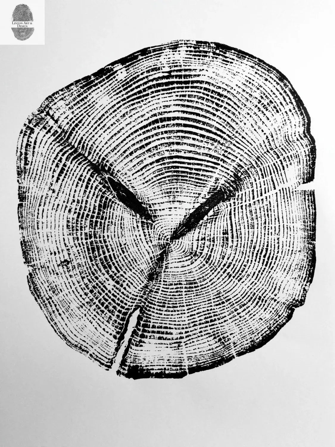 Tree Ring Print Set of 3 - Cedar, Mulberry & Pine - 18x24