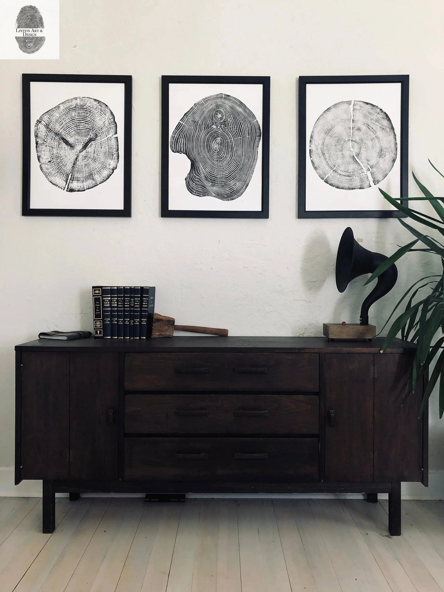 Tree Ring Print Set of 3 - Cedar, Mulberry & Pine - 18x24