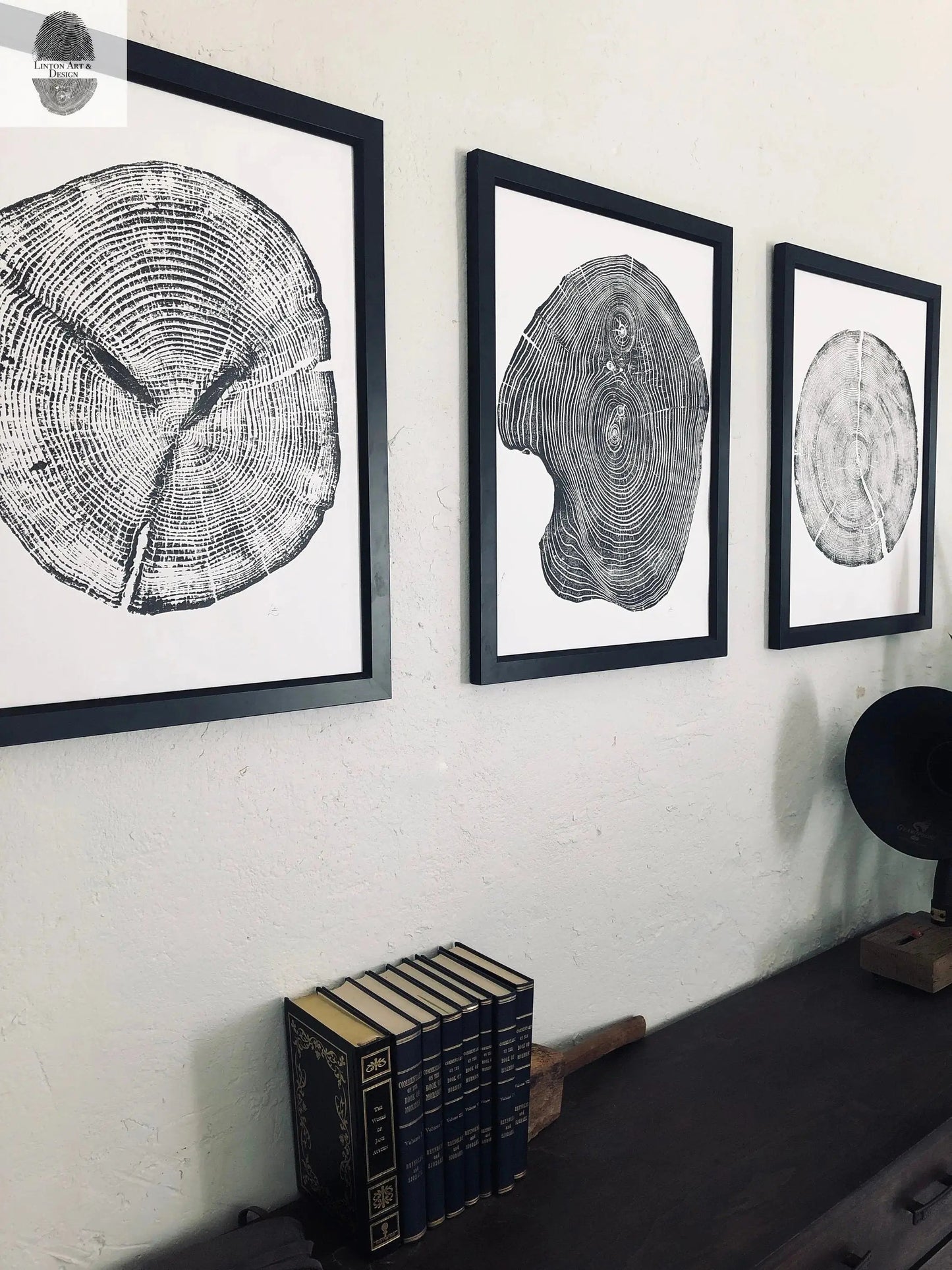 Tree Ring Print Set of 3 - Cedar, Mulberry & Pine - 18x24