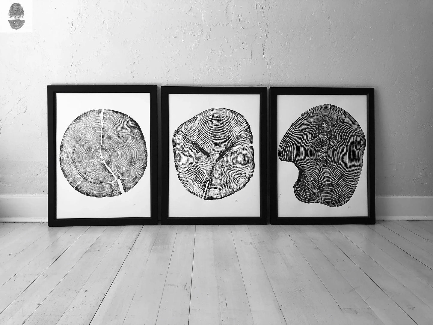 Tree Ring Print Set of 3 - Cedar, Mulberry & Pine - 18x24
