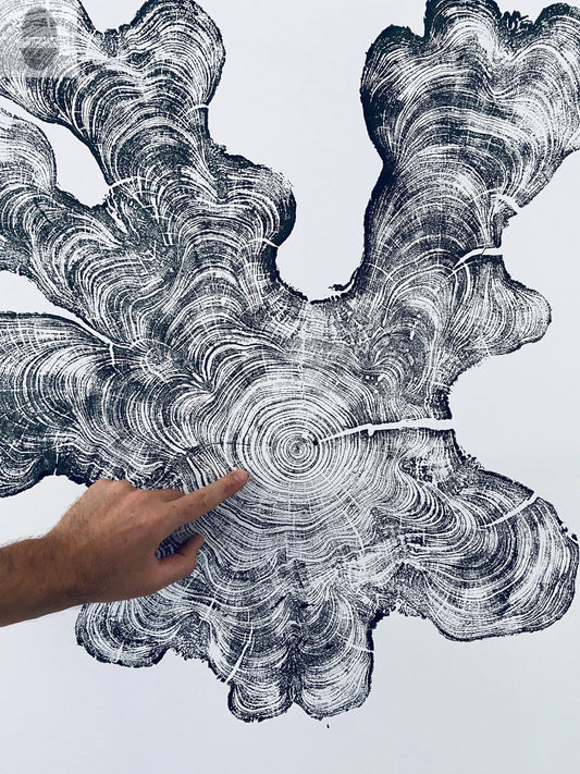 Florida Cypress Tree Ring Print - 36x36