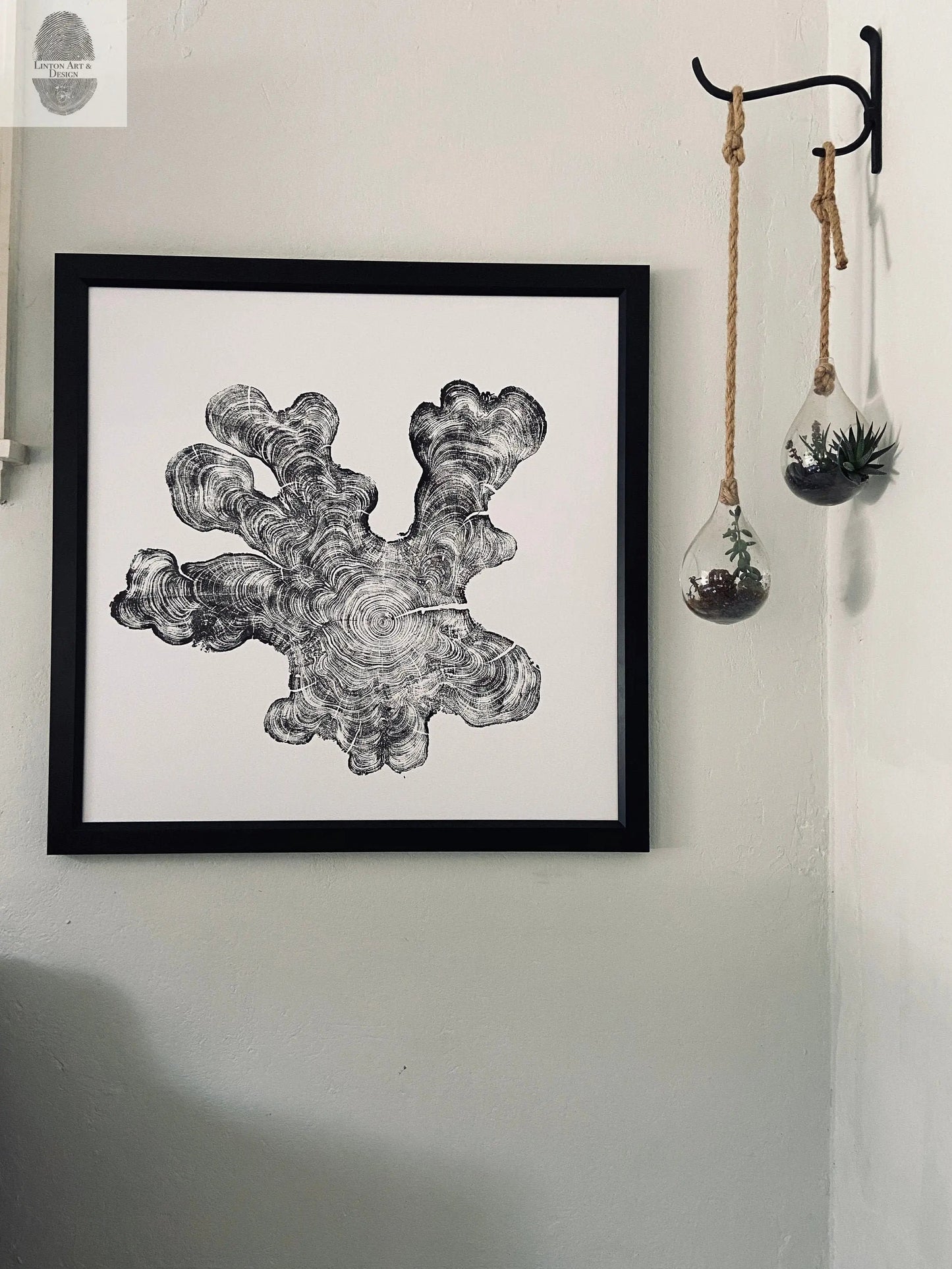 Florida Cypress Tree Ring Print - 36x36