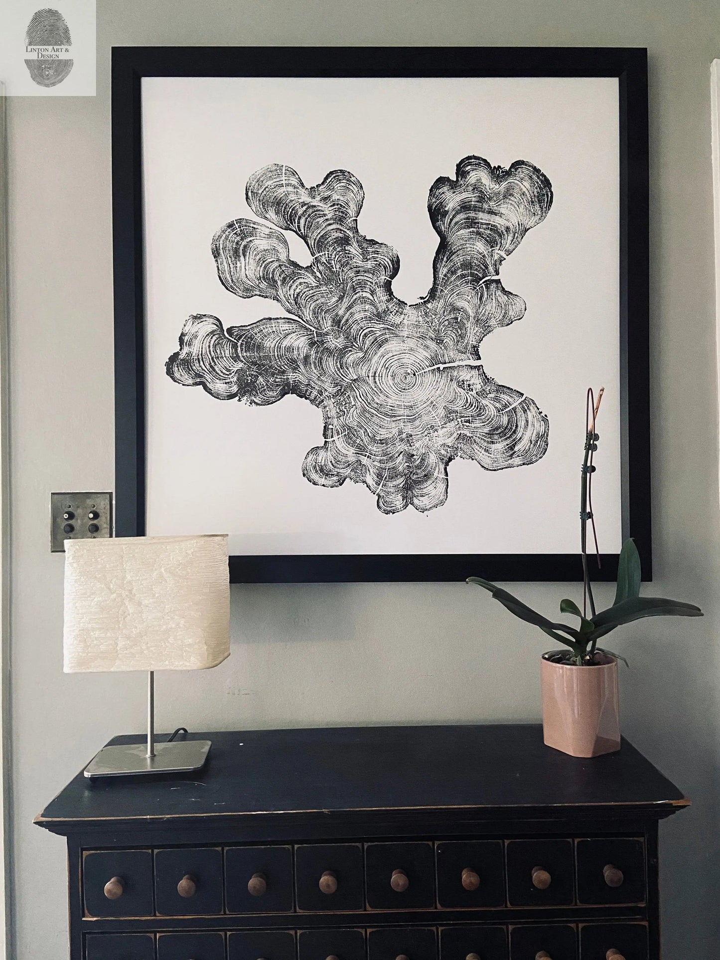 Florida Cypress Tree Ring Print - 36x36