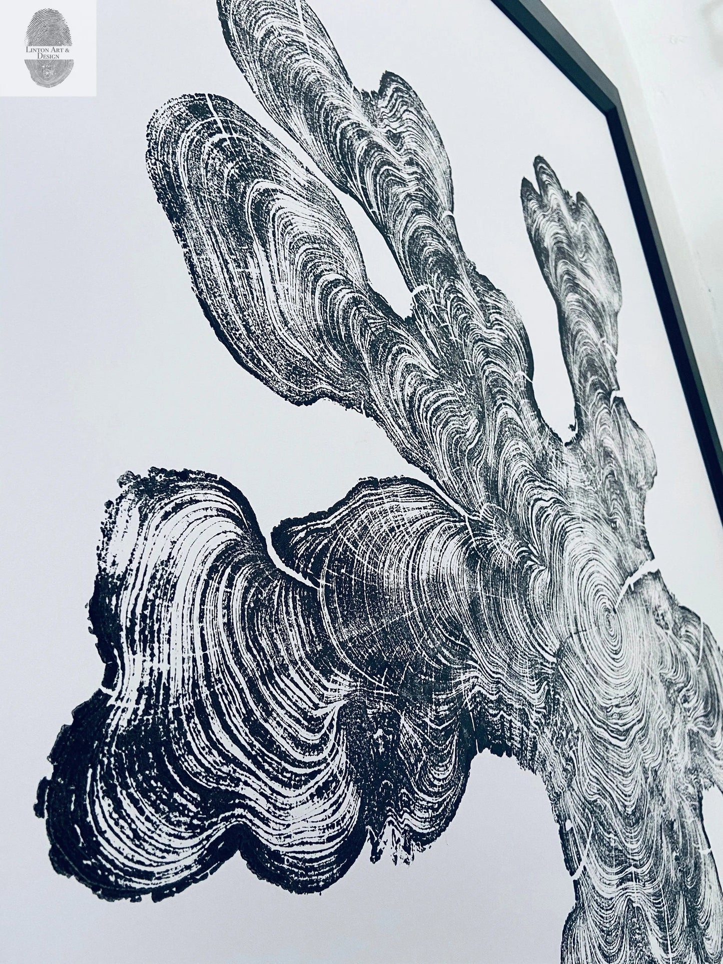 Florida Cypress Tree Ring Print - 36x36