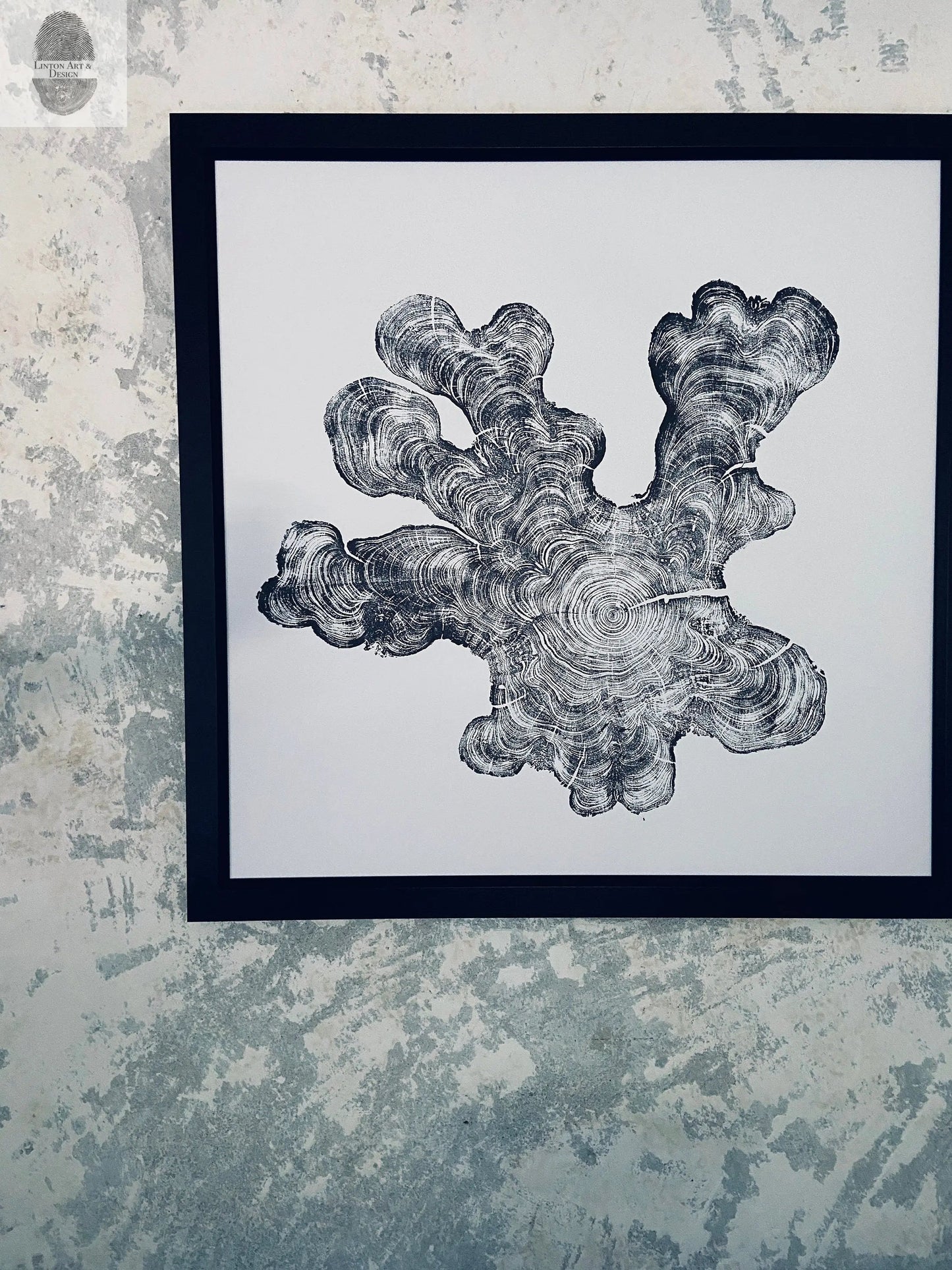 Florida Cypress Tree Ring Print - 36x36