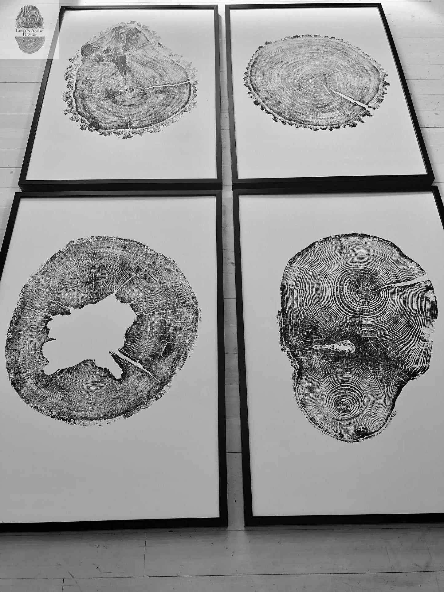 Tree Ring Print Set of 4 - Oak, Pine & Hemlock - 24x36