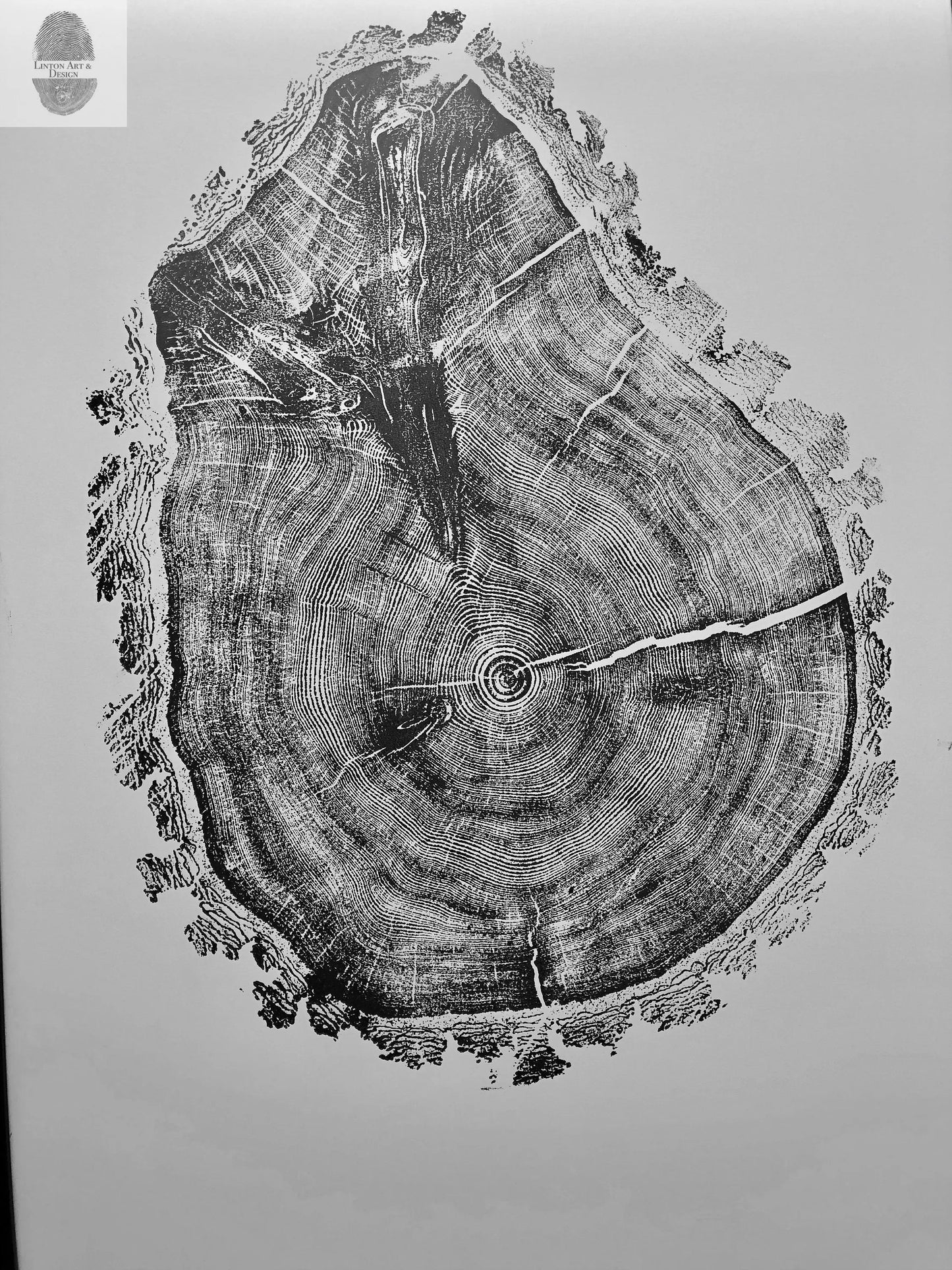 Tree Ring Print Set of 4 - Oak, Pine & Hemlock - 24x36