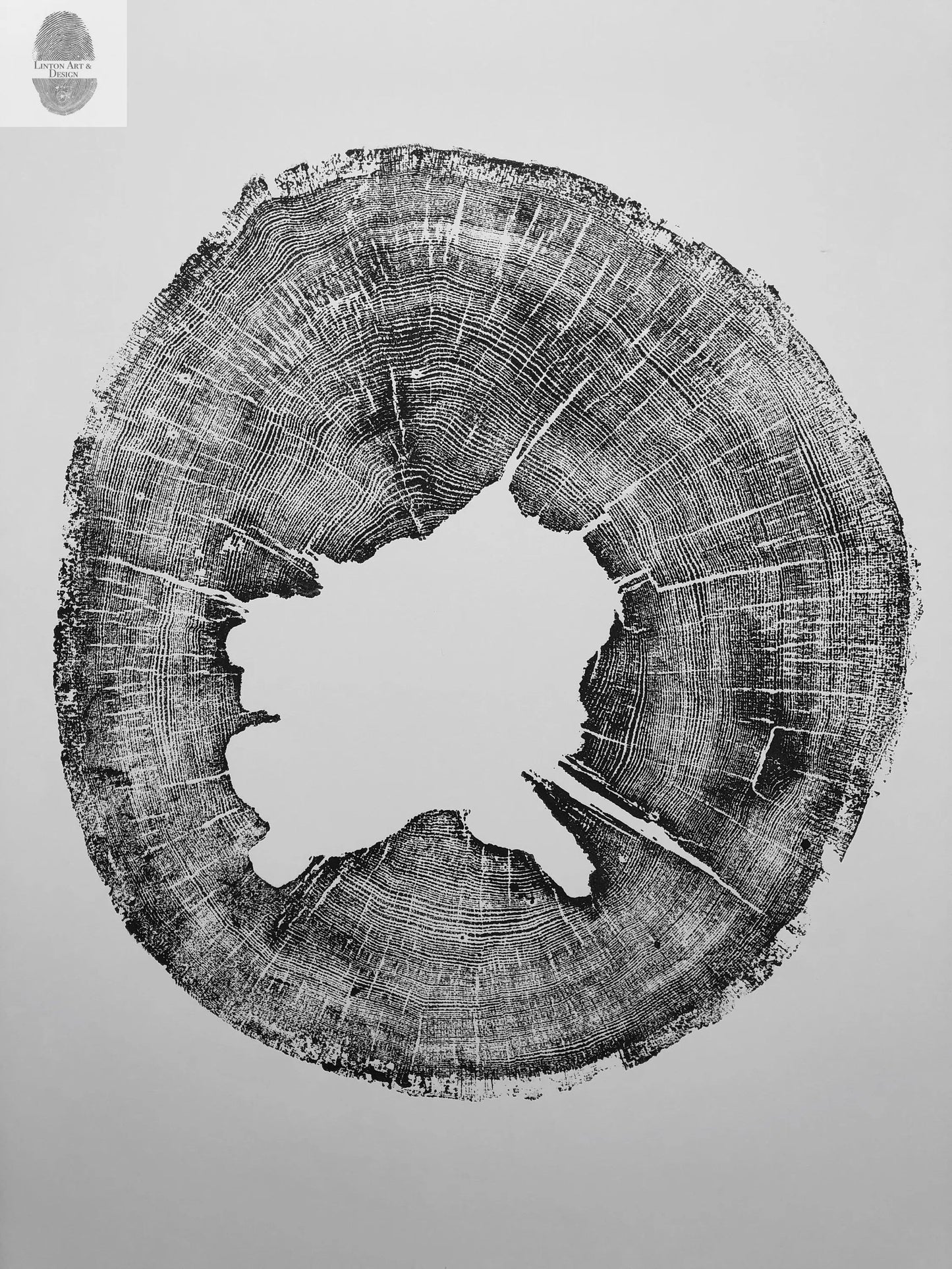 Tree Ring Print Set of 4 - Oak, Pine & Hemlock - 24x36
