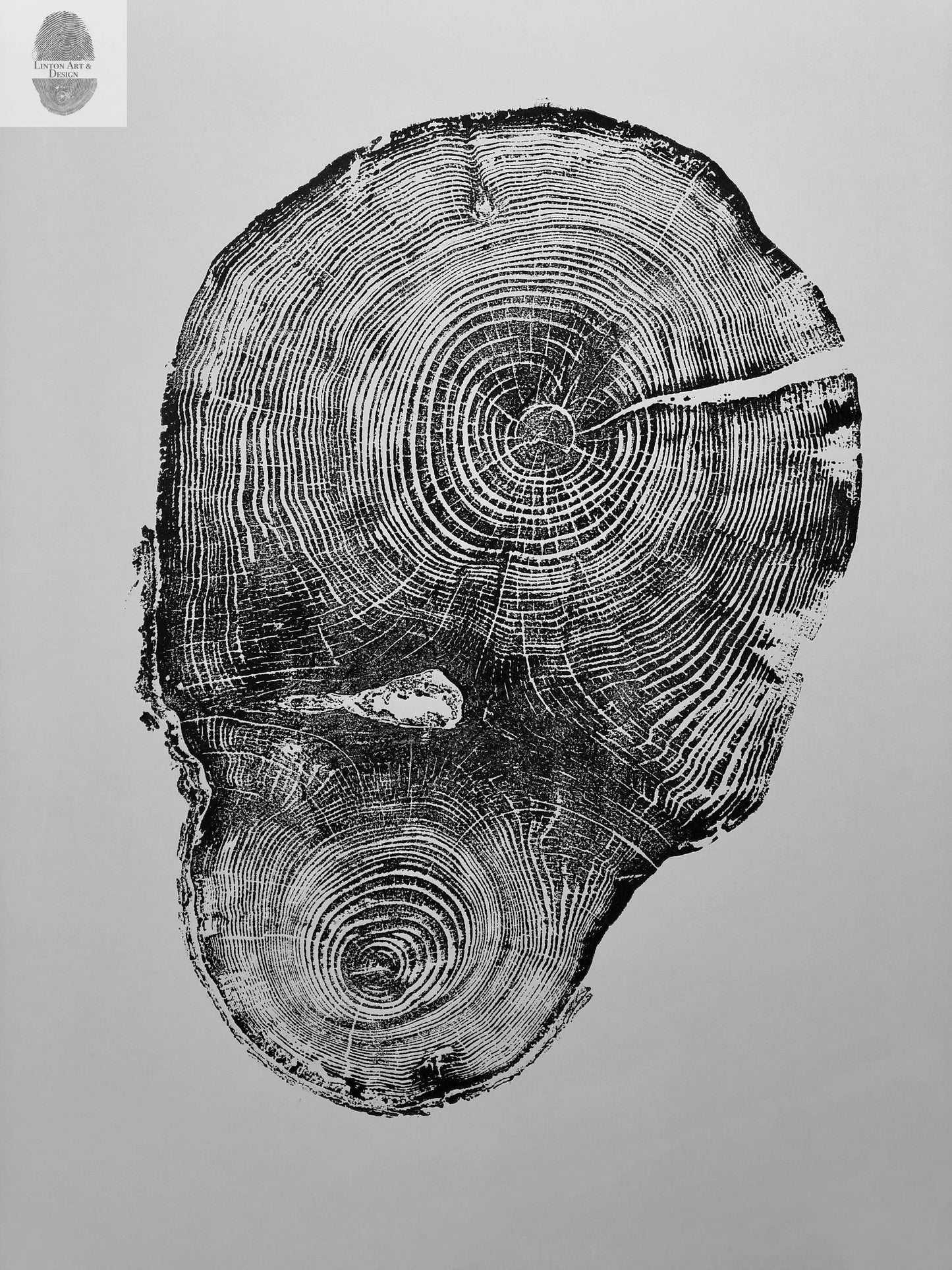 Tree Ring Print Set of 4 - Oak, Pine & Hemlock - 24x36