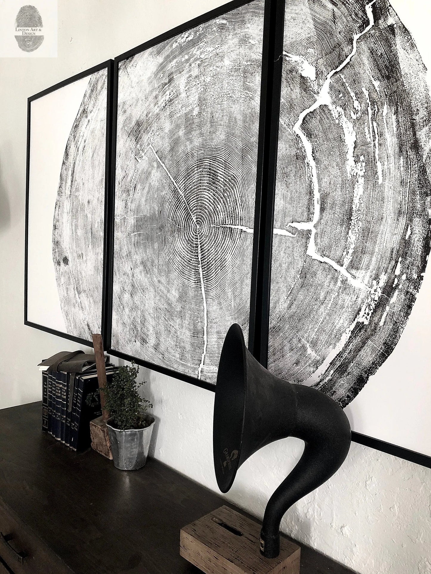 372-Year-Old Sitka Spruce Tree Ring Print Set - 3x 24x36