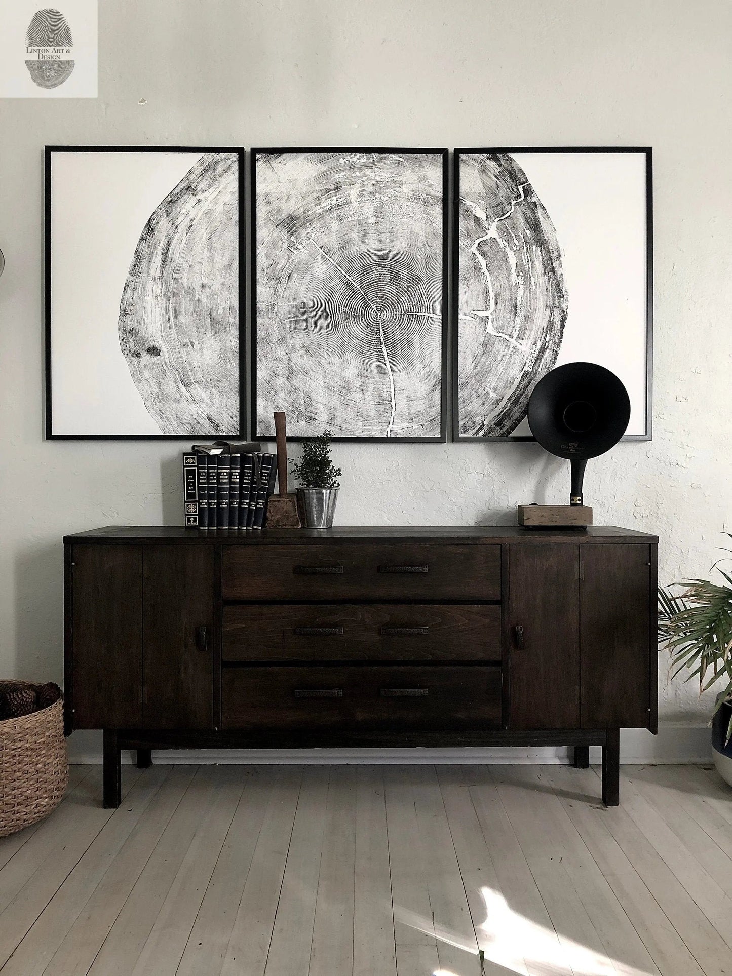 372-Year-Old Sitka Spruce Tree Ring Print Set - 3x 24x36