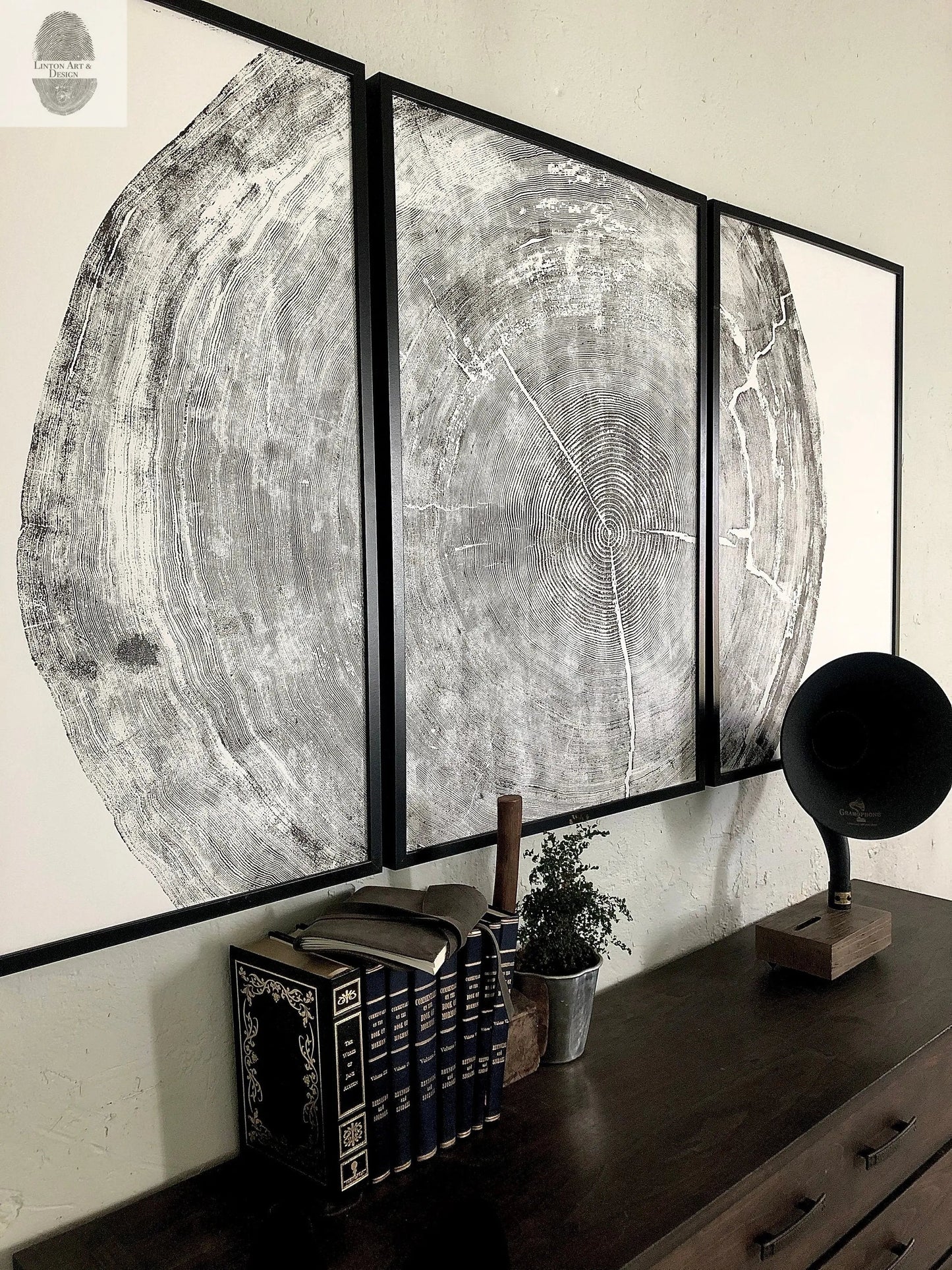372-Year-Old Sitka Spruce Tree Ring Print Set - 3x 24x36