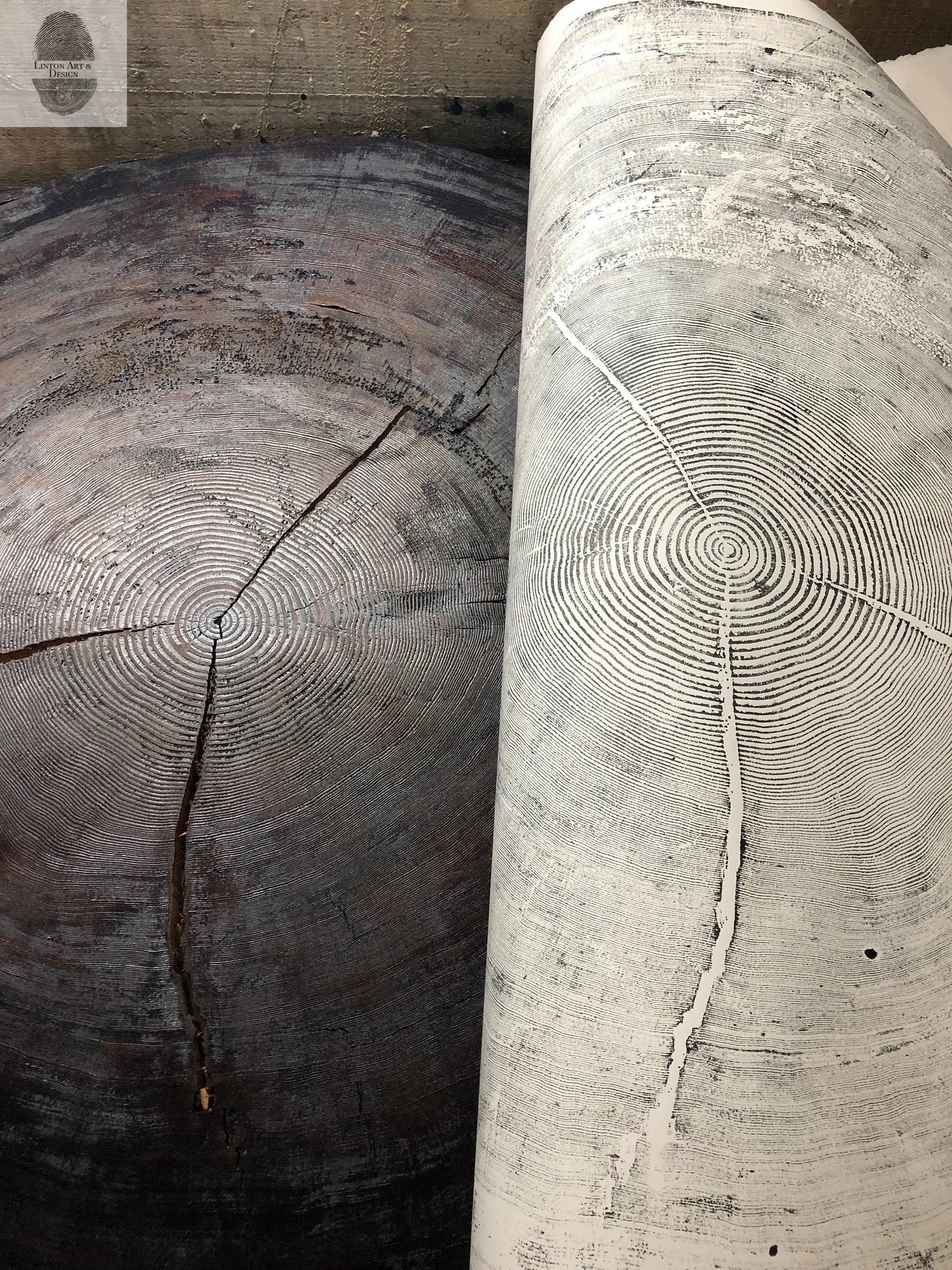 372-Year-Old Sitka Spruce Tree Ring Print Set - 3x 24x36