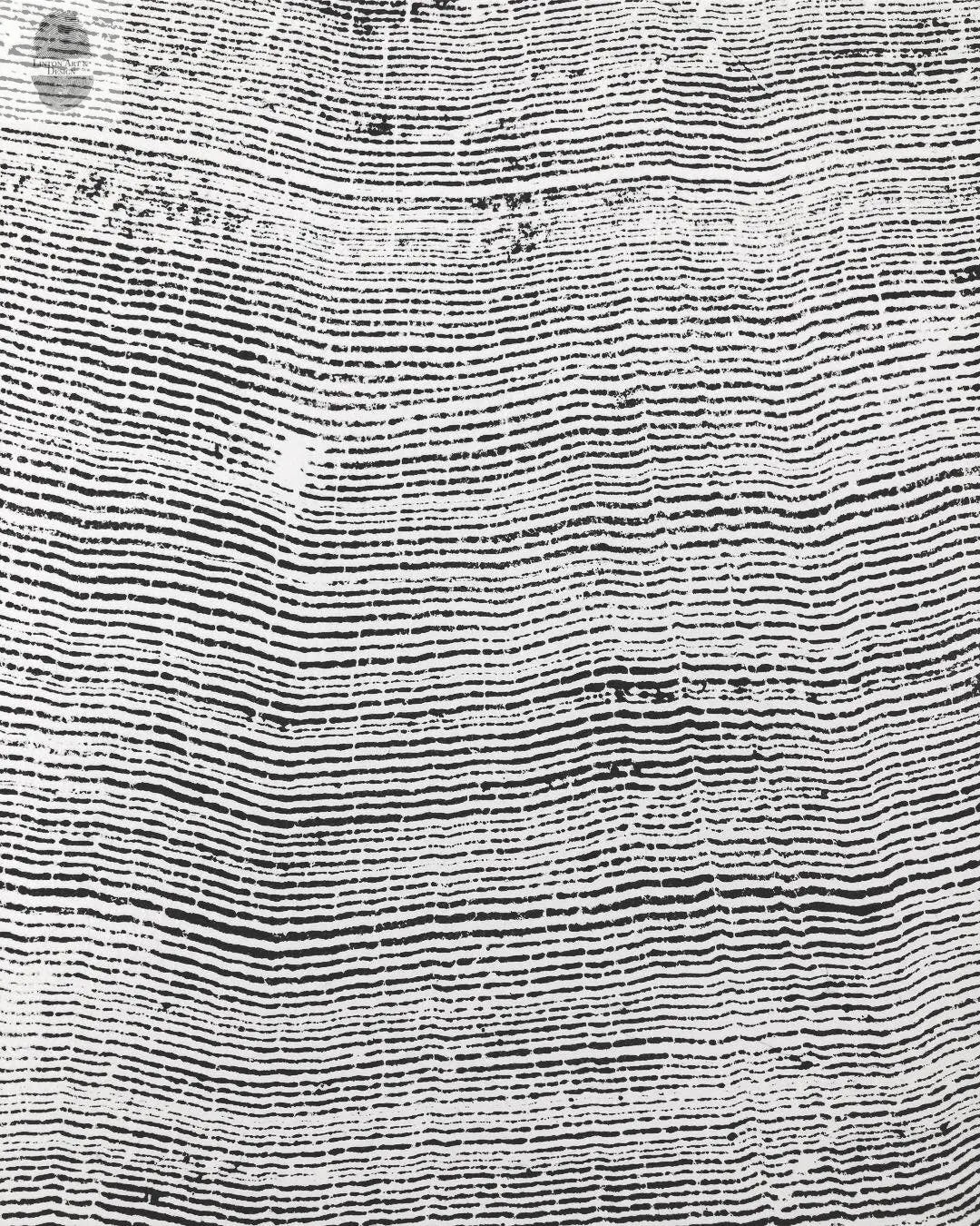 372-Year-Old Sitka Spruce Tree Ring Print Set - 3x 24x36