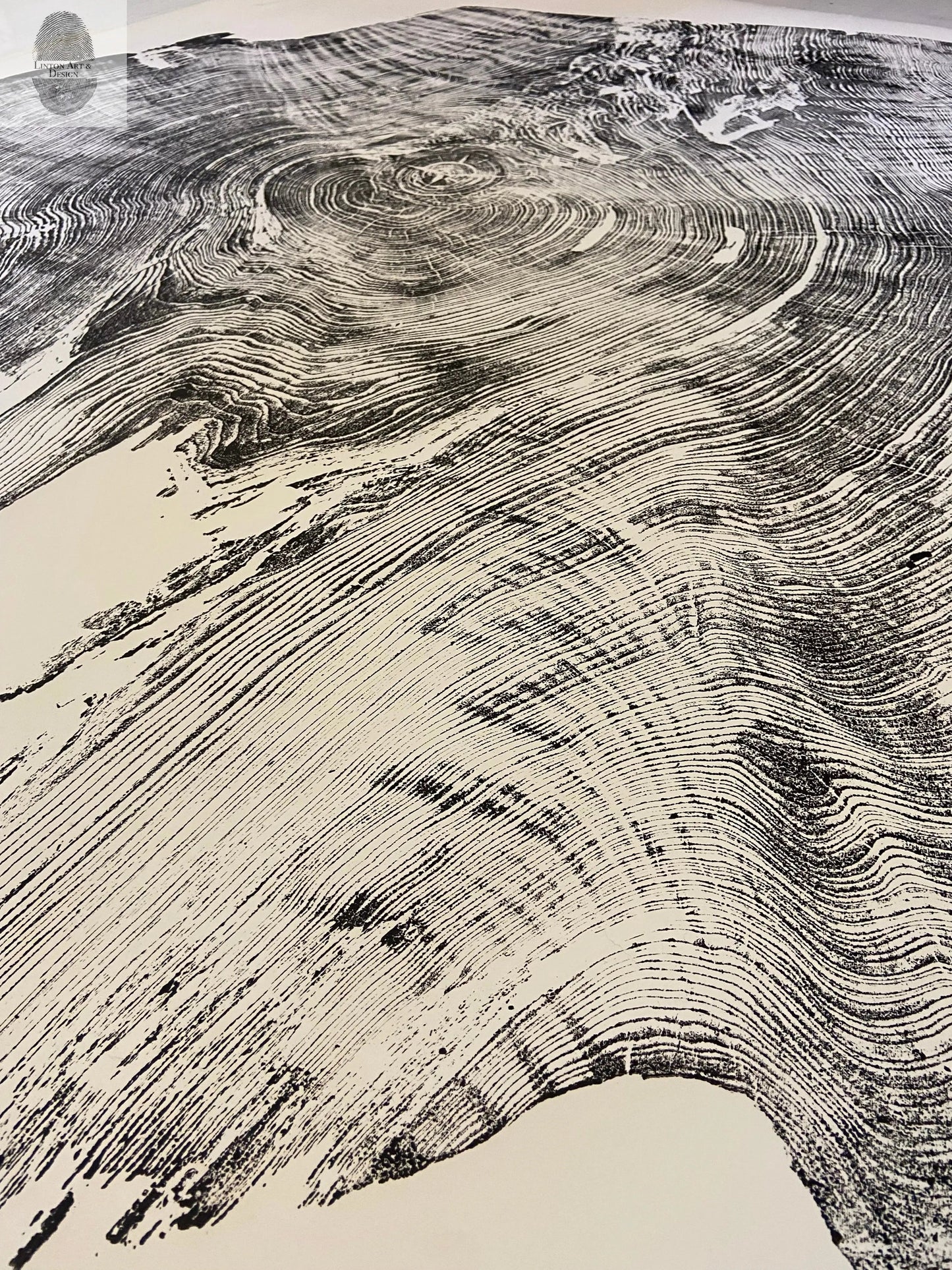 Giant Redwood Tree Ring Print - California Coast - 52x72