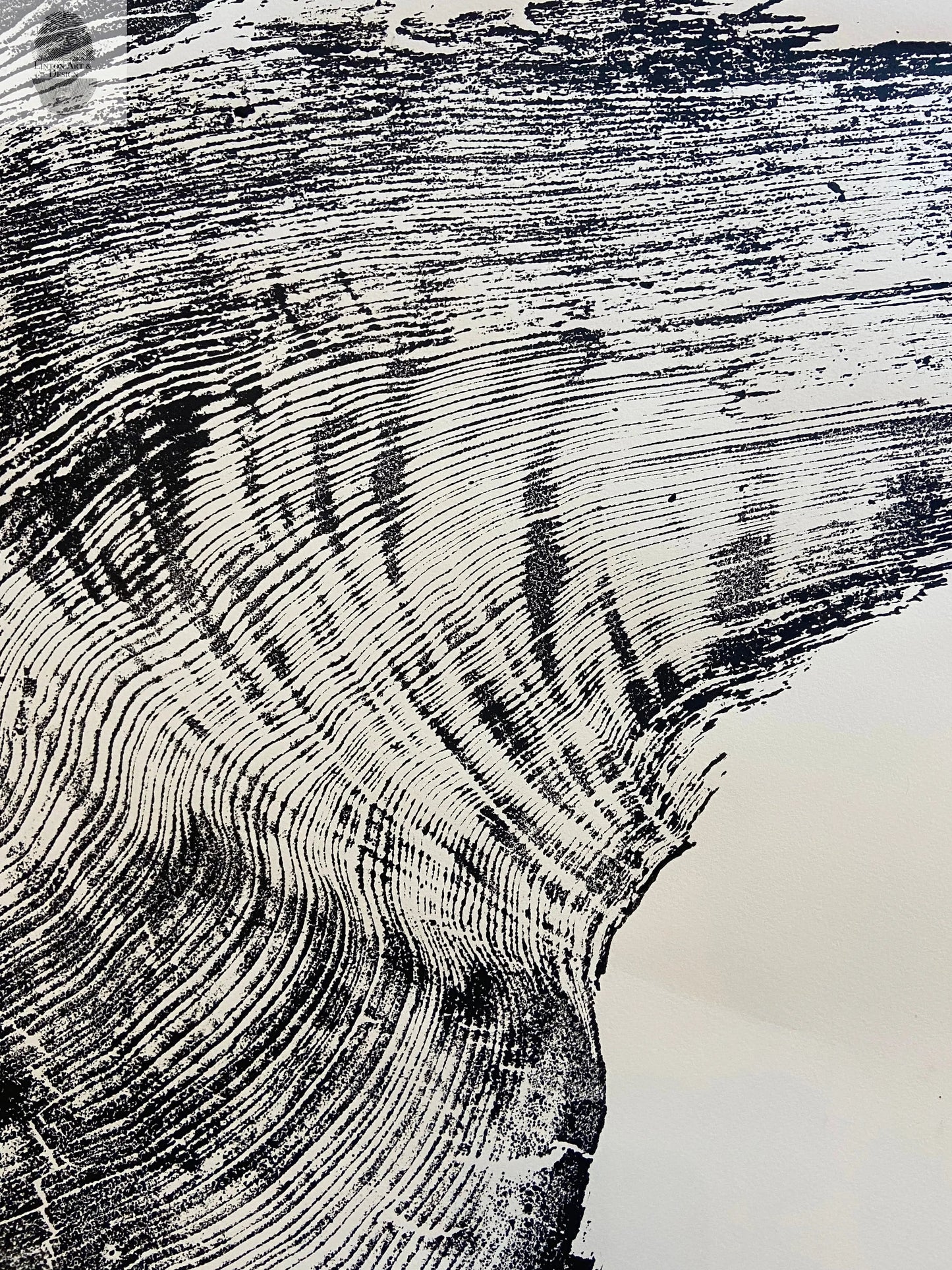 Giant Redwood Tree Ring Print - California Coast - 52x72