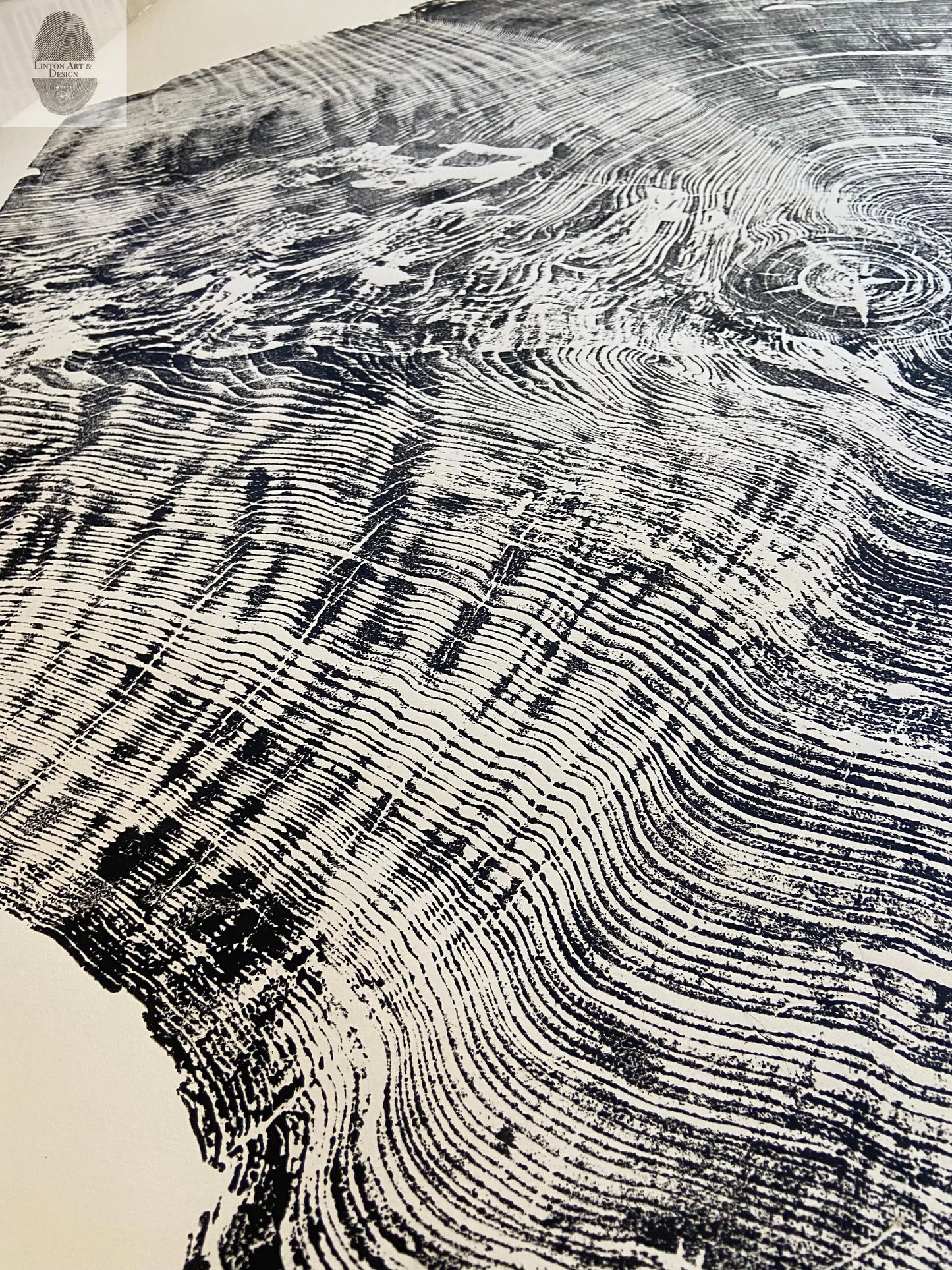 Giant Redwood Tree Ring Print - California Coast - 52x72