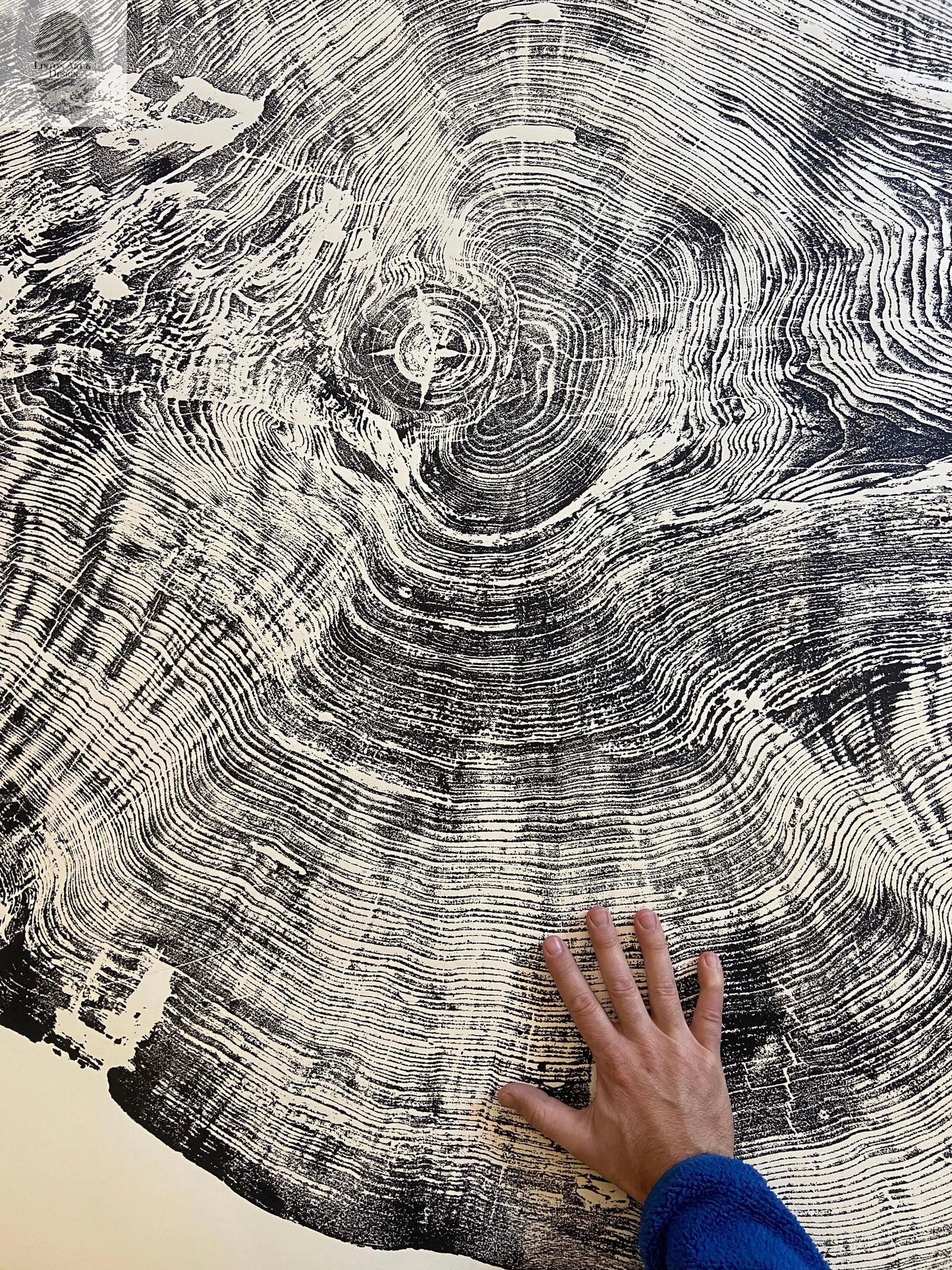 Giant Redwood Tree Ring Print - California Coast - 52x72