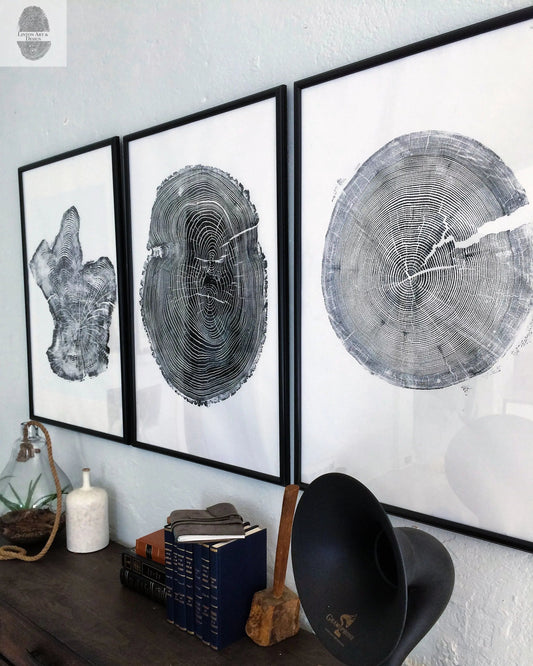 Tree Ring Triptych Wall Art - Set of 3 Panel Prints