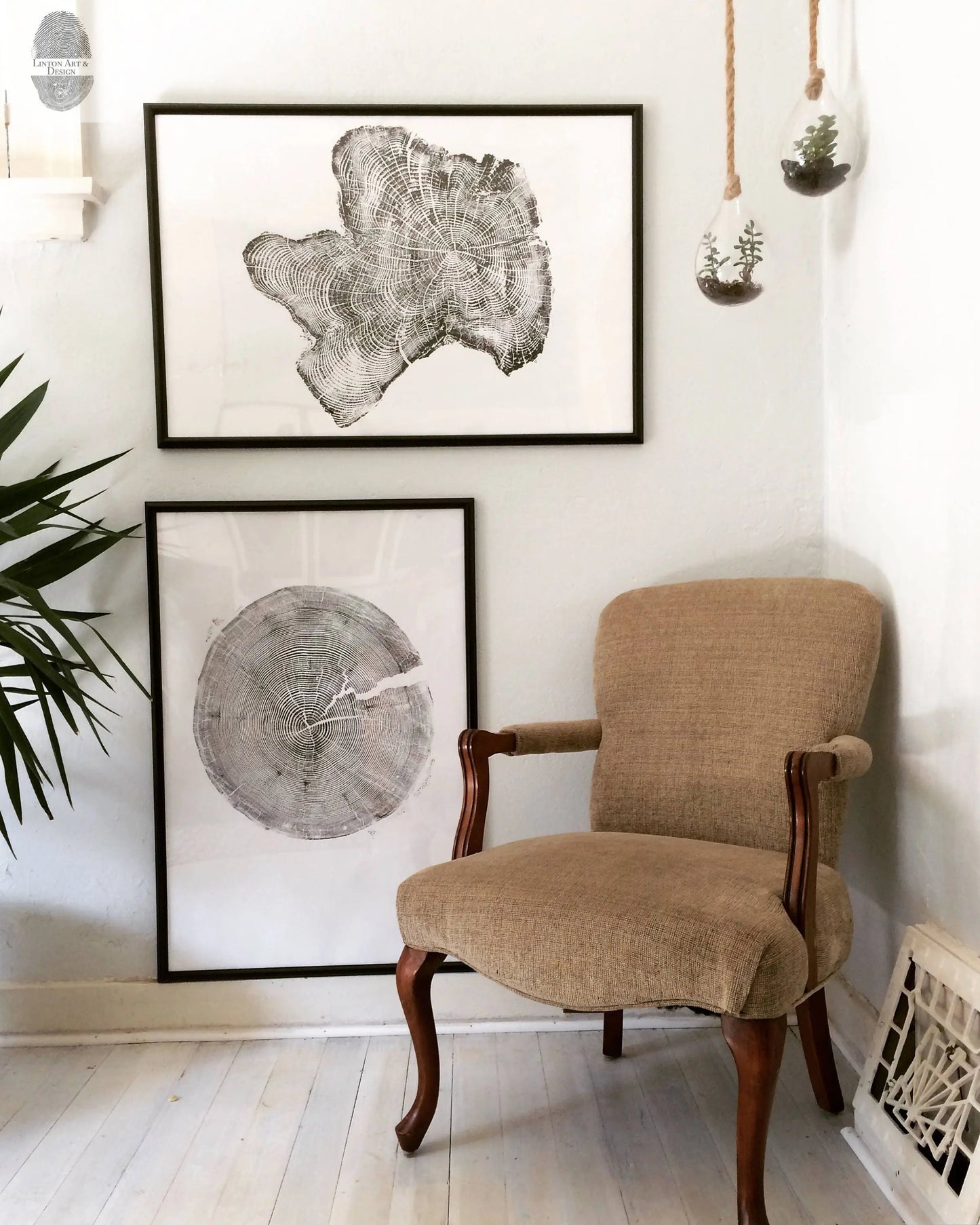 Tree Ring Triptych Wall Art - Set of 3 Panel Prints