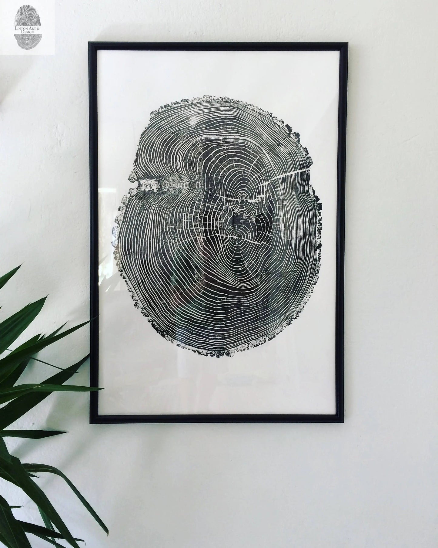 Tree Ring Triptych Wall Art - Set of 3 Panel Prints