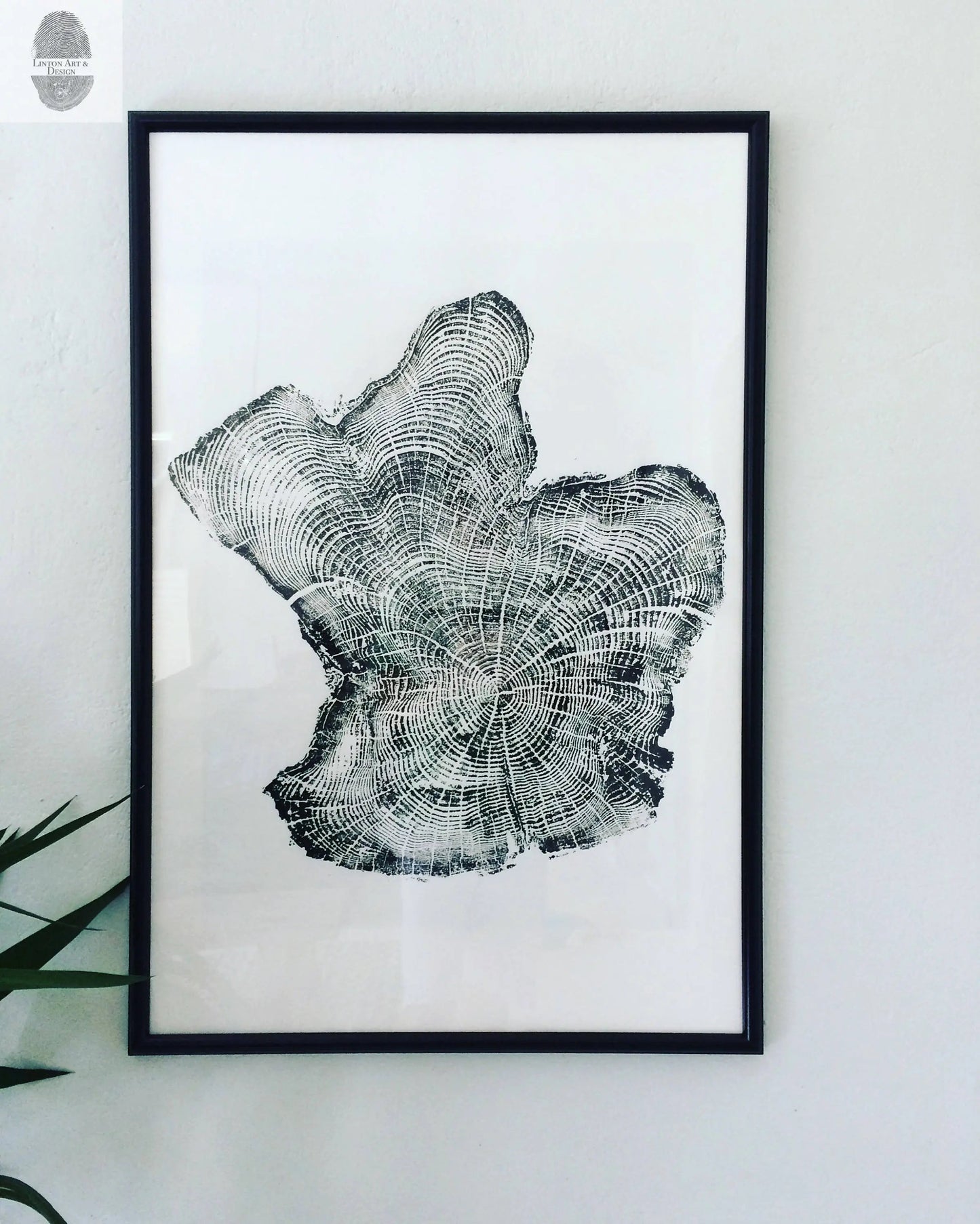 Tree Ring Triptych Wall Art - Set of 3 Panel Prints
