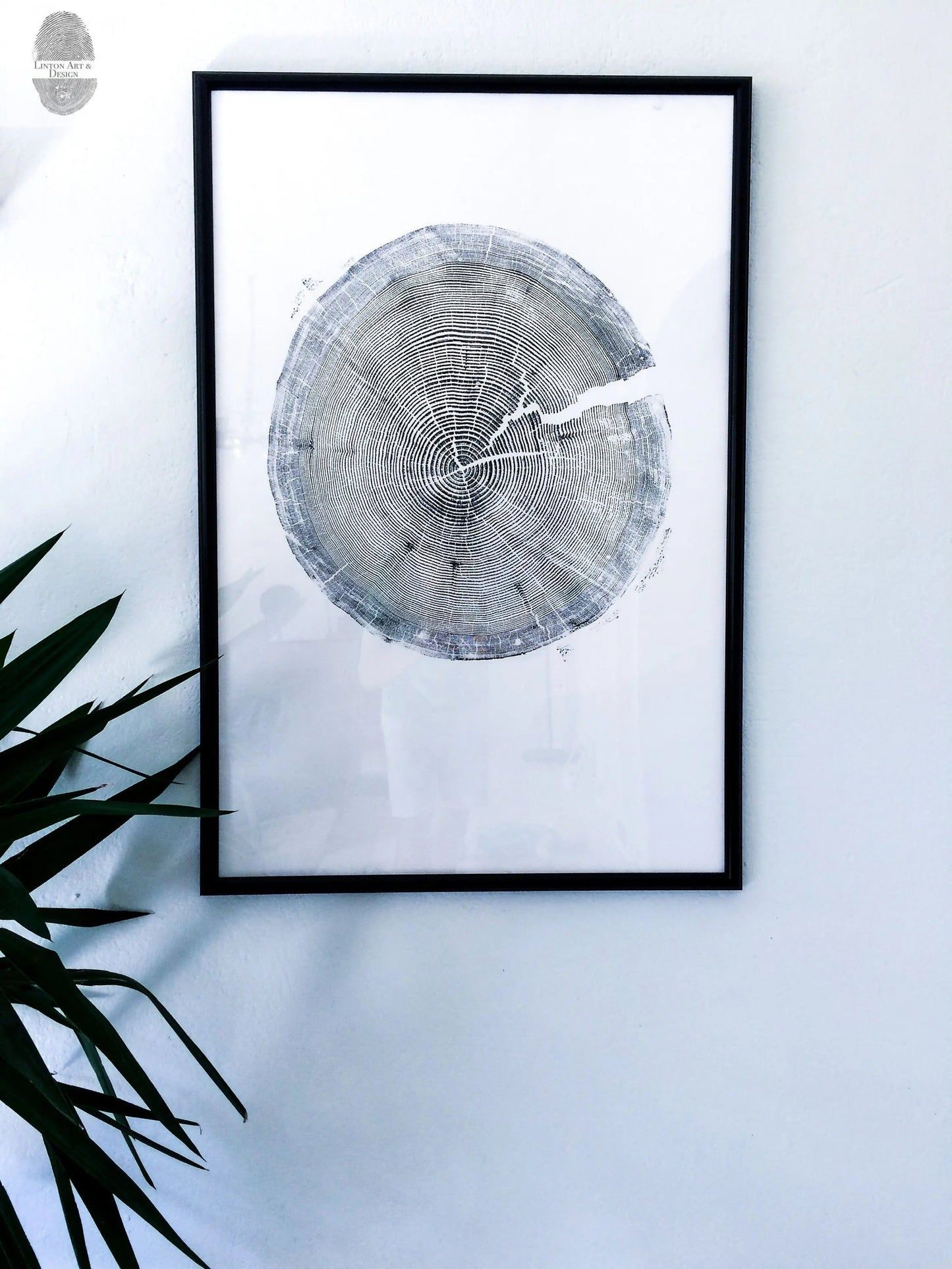 Tree Ring Triptych Wall Art - Set of 3 Panel Prints