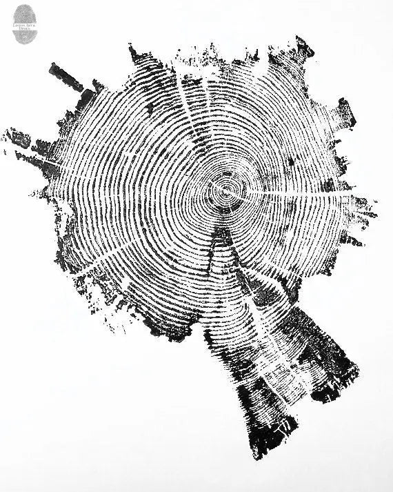 Yellowstone Pine II Tree Ring Print - 18x24