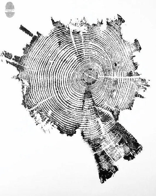 Yellowstone Pine II Tree Ring Print - 18x24