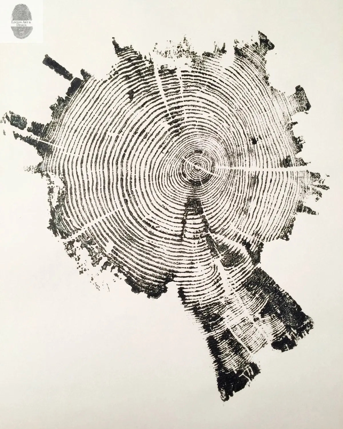 Yellowstone Pine II Tree Ring Print - 18x24